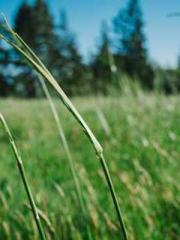 At the start, he mad