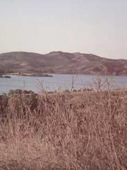 The Realm of the Dao