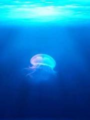 A Second Marriage Mo