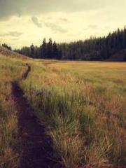 Mr. Shen, overdue an