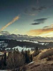 Rong Zhao Nanning Yu