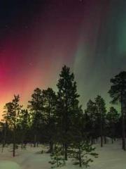 One Pregnancy, Two B