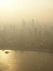 My Amazing Female Te