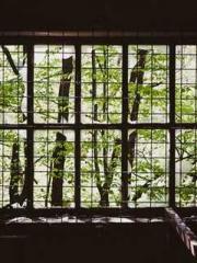 Fu Zi Mo Qin Luo Yan