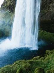 Bones-Eating Marriag