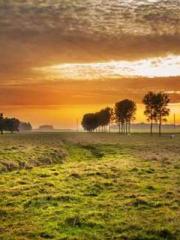 The  Princess  Rebor