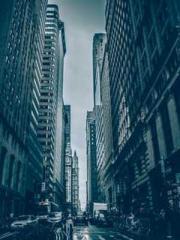 The Stand-in Wife Wa