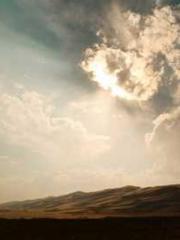 Professor Yan is goi