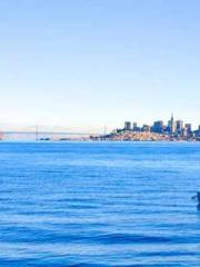 The Return of the Go