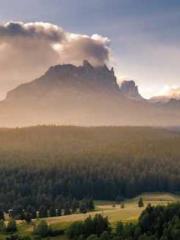 The Wife of My Heart